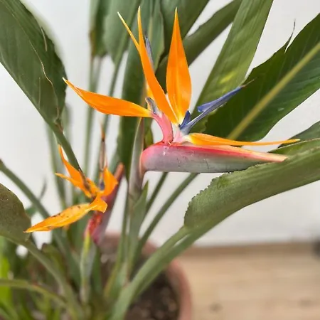 Appartement Loft Il Giardino *